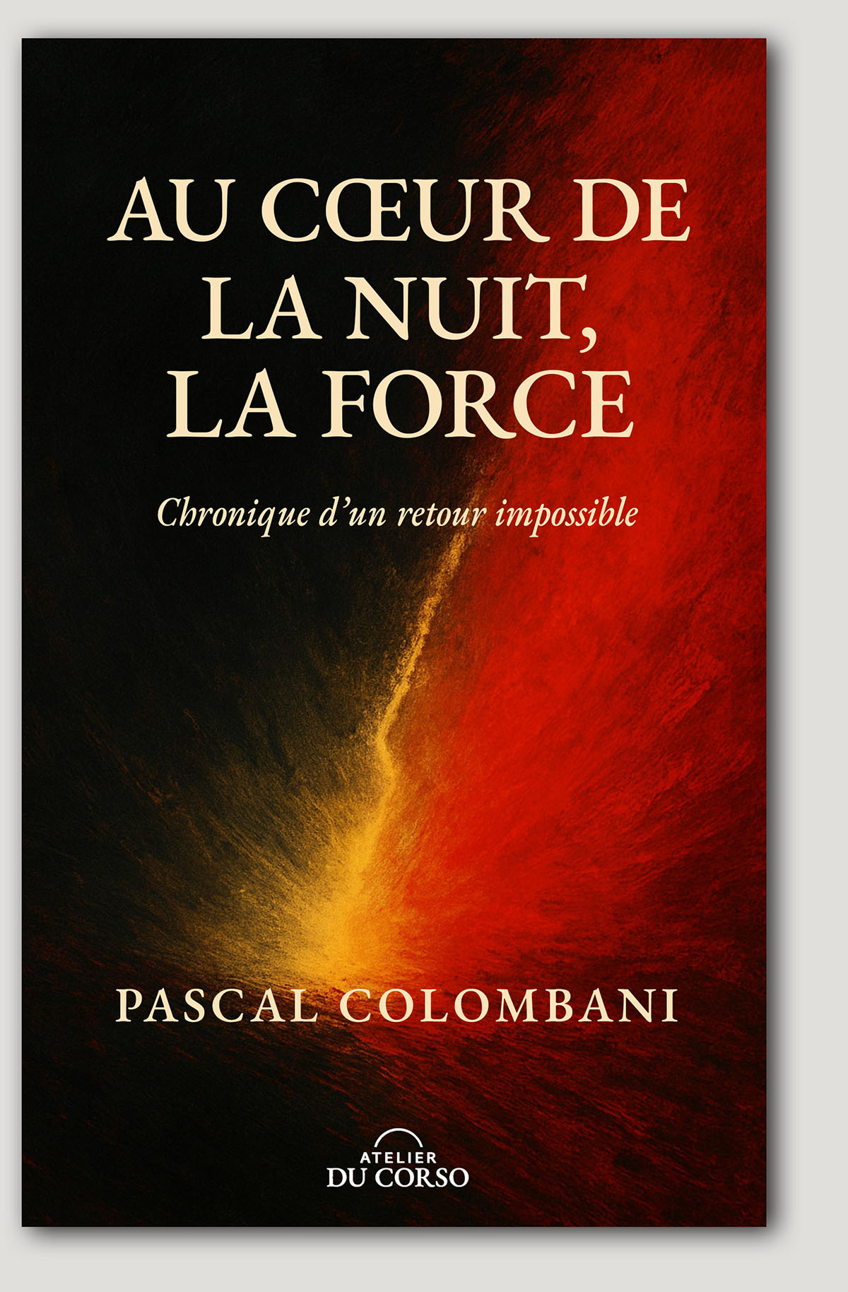 Couverture du livre Au cœur de la nuit, la Force